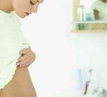2-3 Седмици от бременността: табели