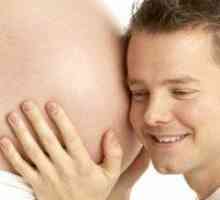 26 Седмица на бременността: смущение