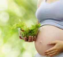 31 Седмица на бременността: храненето