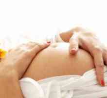 33 Седмица от бременността: сензация