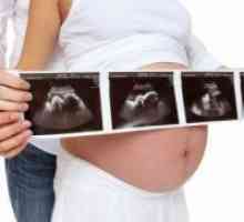 33 Седмица на бременността: тегло на плода
