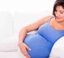 37 Седмици бременни: втвърдява корема