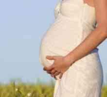 37 Седмица на бременността