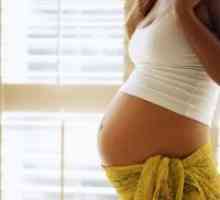 38 Седмица от бременността корем с