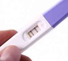 Съвременните методи за превенция на контрол на раждаемостта