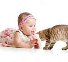 Алергия Cat при деца