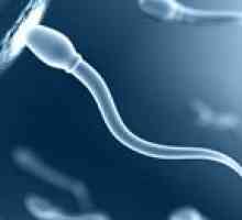 Сперматозоидите spermogramma анализ