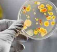 Бактериите в урината на децата