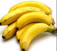Бананите кърмачки