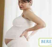 Белтъкът в урината по време на бременност