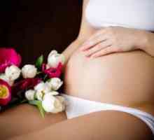 Бели люспи в урината по време на бременност