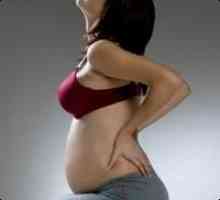 Болки в гърба по време на бременност