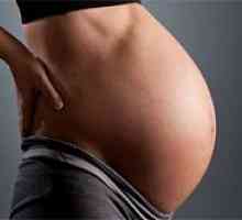 Детски матка и бременност