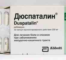 Duspatalin по време на бременност