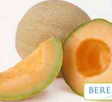 Melon по време на бременност
