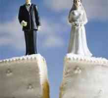 Има ли заплаха за брака ви? Учените са идентифицирали 15 признаци на развод