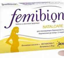 Femibion ​​при планирането на бременност