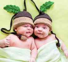Феноменът на близнаци и близнаци: основните разлики, образованието и забавни факти