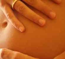 Дали херпес е опасно по време на бременност