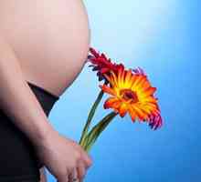 Грижа за бременни жени: важни нюанси