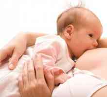Кърмене новородено - основни принципи
