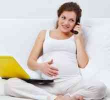 Идеална работа за бременни жени