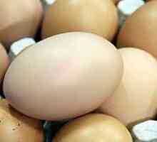 Egg диета в продължение на 4 седмици (четири седмици)