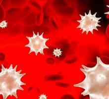 Червените кръвни клетки в кръвта на дете