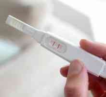 Защо мечтата на тест за бременност