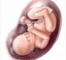 Стойността се определя от смущение: как е бебето в утробата