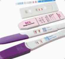 Как да се използва тест за бременност