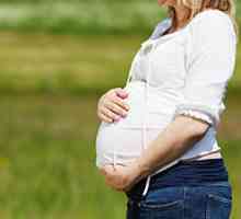 Как ендометриума по време на бременност