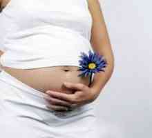 Как действа на женското тяло по време на бременност?