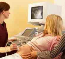 Как да се повиши през плацентата по време на бременност?