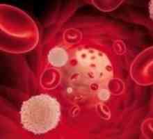 Как да се увеличи на белите кръвни клетки в кръвта на детето