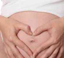 Как е бременност - какво ще стане с една жена по време на бременност