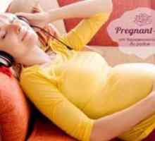 Как да се харчат оставите бременна майчинство с полза?