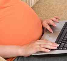 Как да се съчетаят бременност и работа