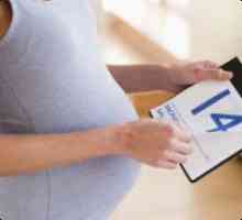 Как да се знае точно на периода на бременност?