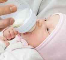 Какъв по-добър бленд за бебета: съвети за това как да изберете най-микс за новородено