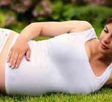 Какви са шансовете за забременяване с млечница