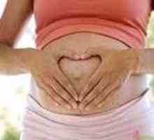 Когато коремът започва да расте по време на бременност