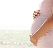 Когато първите фетални движения започват по време на бременност