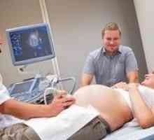 Когато се налага да се направи рутинна ултразвук по време на бременност?