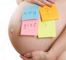 Когато в стомаха по време на бременност?