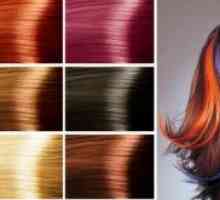 Бои за боядисване на коса. Палитрата от цветове, снимки