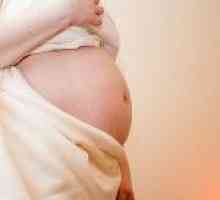 Красавицата и бременност. Не само бременна, но и красива.