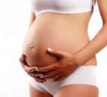 Белите кръвни клетки в клеветническа по време на бременност