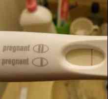 Фалшиви бременност: симптоми и лечение