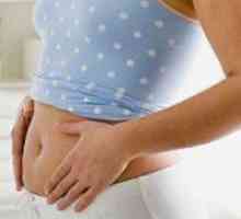 Daub на 5 седмици бременна